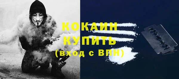 спайс Гусь-Хрустальный