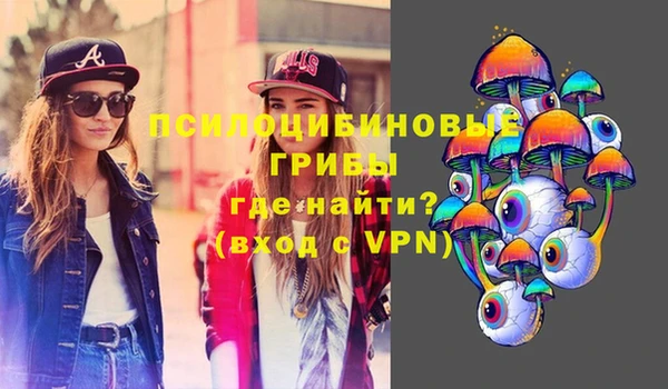 спайс Гусь-Хрустальный